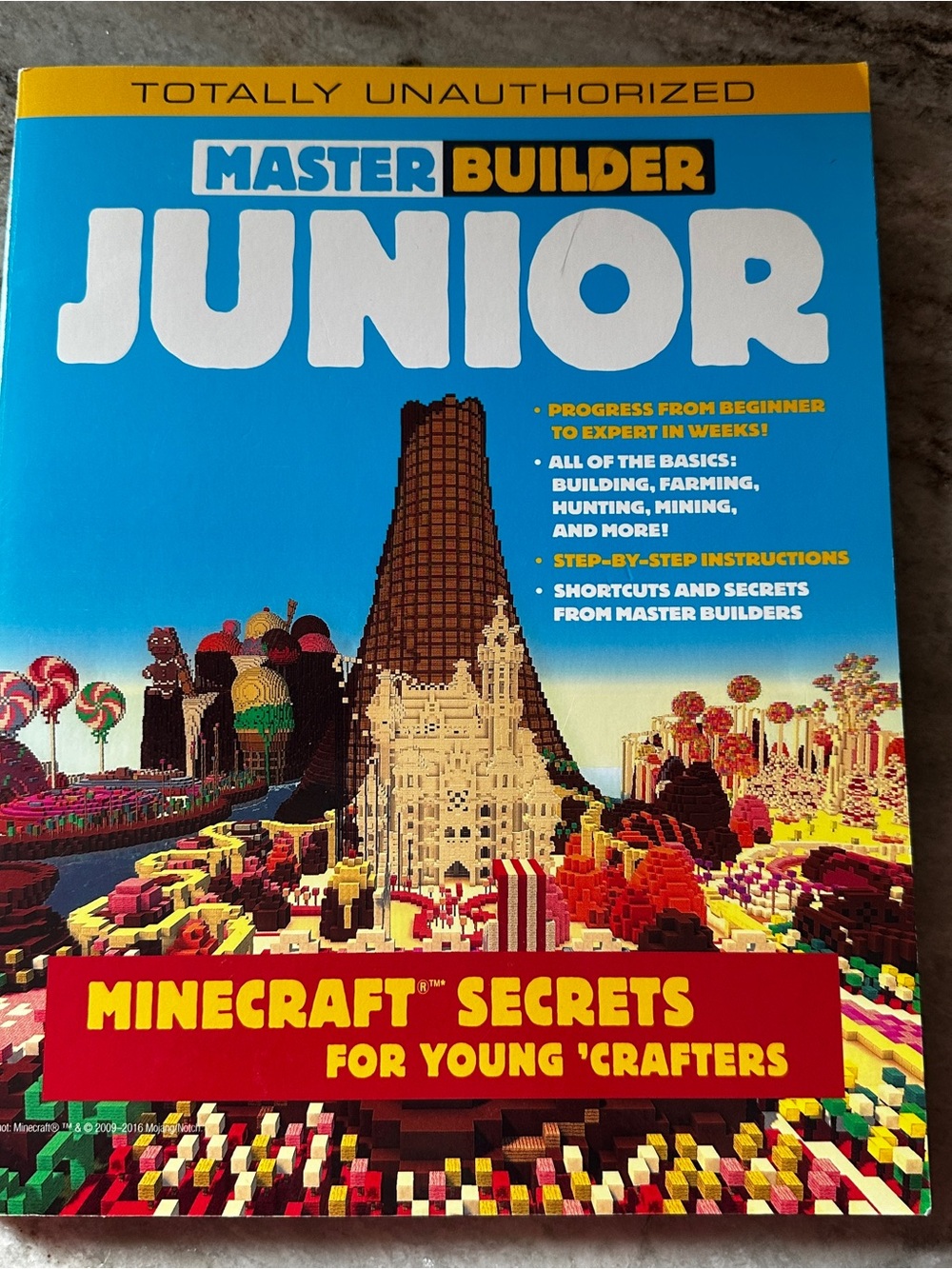 Master Builder Junior Minecraft Secrets for Young 'Crafters